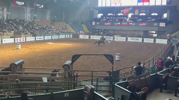 Phillip 13.8 Stockyards